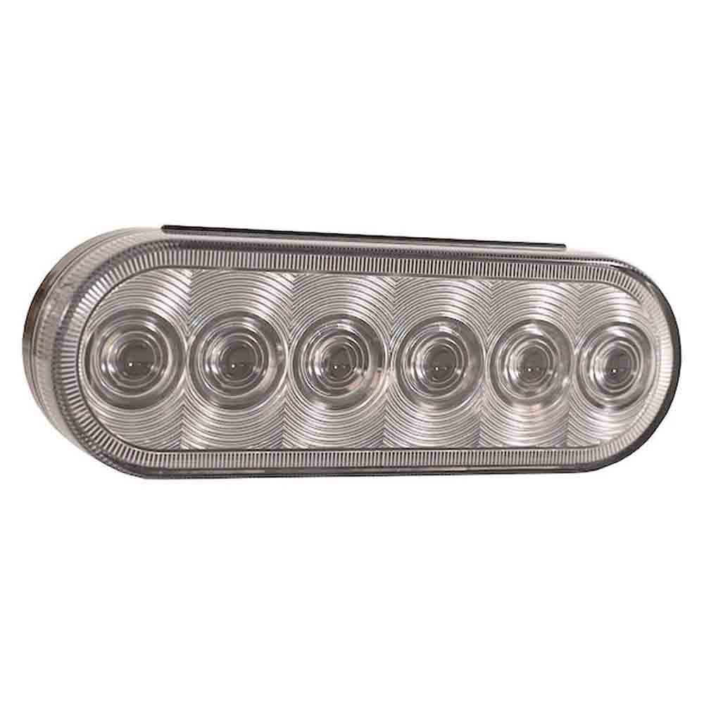 LED Oval Backup Light - 6 Inch