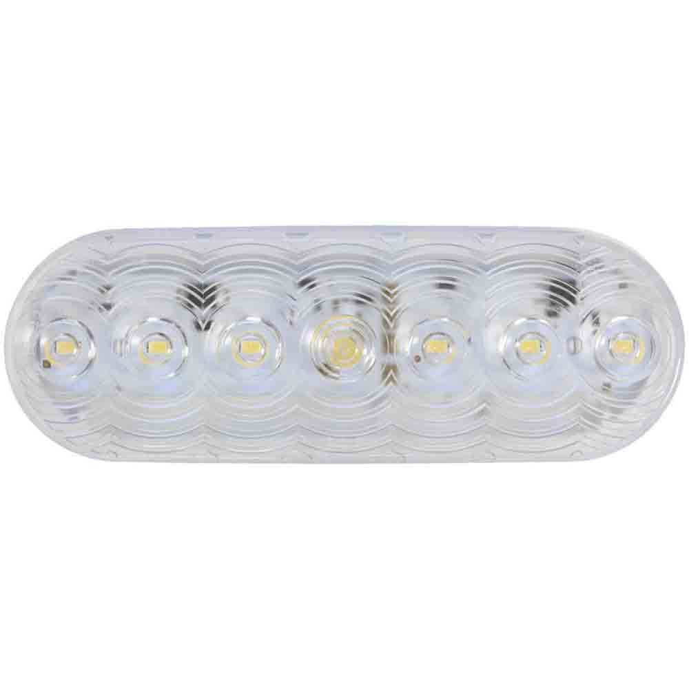 Oval LED Clear Back-Up Light - LumenX