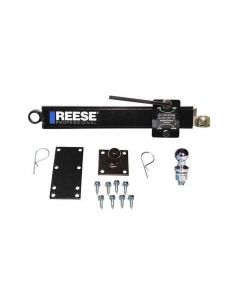 Reese Friction Sway Control