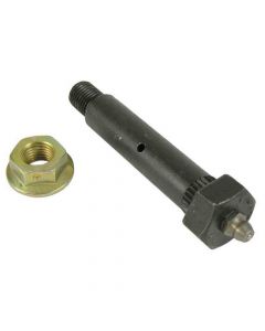 Greaseable Spring Bolt with Lock Nut